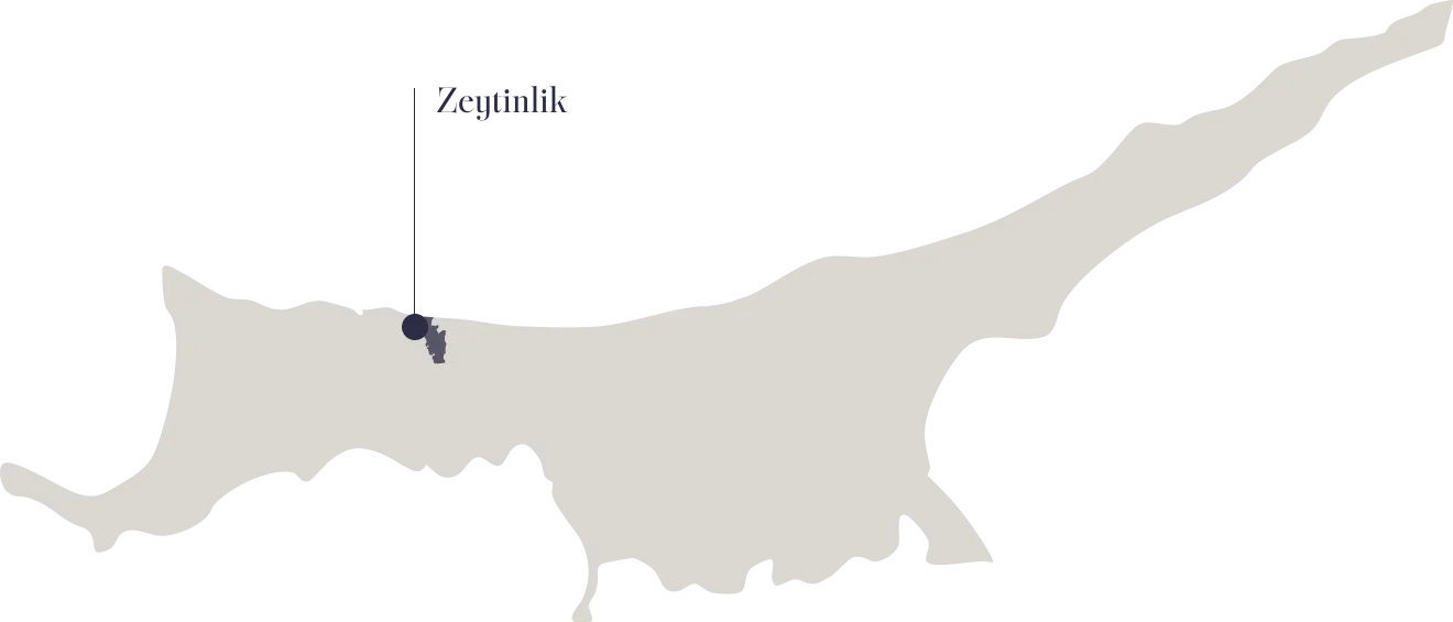 zeytinik